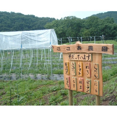 奇跡のハーブ ホーリーバジルティー【ティーパック10個入×1袋、急須用茶葉22g×1袋】計2袋【配送不可地域：離島・沖縄県】