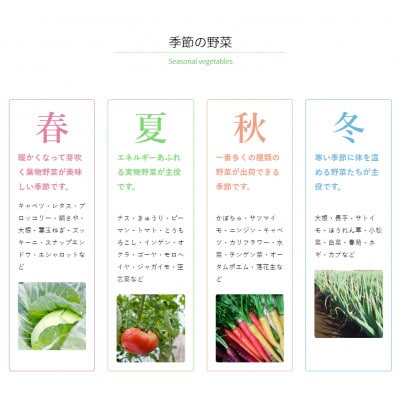 【発送月固定定期便】茨城県産 有機JAS認証 旬の有機栽培野菜セット 8種類 詰合せセット全4回【配送不可地域：離島・沖縄県】
