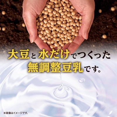 キッコーマンソイフーズ　北海道産大豆 無調整豆乳 1L×12本【配送不可地域：離島・沖縄県】