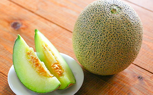 ベルファームの冷凍メロンジュース 茨城県産メロン100% 100g×15袋 【離島・沖縄配送不可】【配送不可地域：離島・沖縄県】