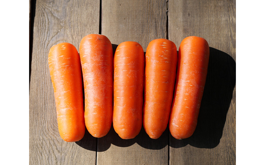 ベルファームの有機にんじんジュース 茨城県産にんじん100%  100g×30【離島・沖縄配送不可】【配送不可地域：離島・沖縄県】