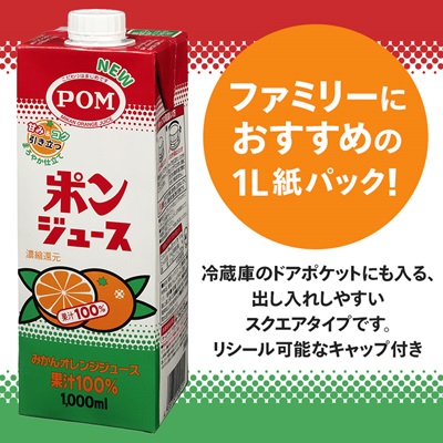 えひめ飲料　ポンジュース1L×6本【配送不可地域：離島・沖縄県】