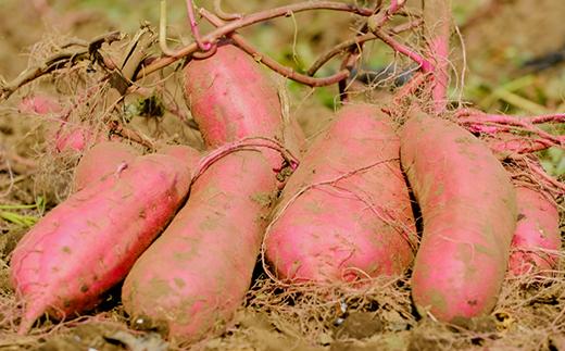 〈幸田商店〉ほしいも平切り320g×6袋詰合せ【配送不可地域：離島・沖縄県】