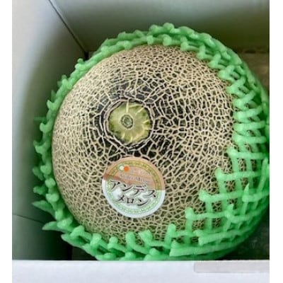 【先行受付】令和8年4月順次発送 茨城県鉾田市 山一ファーム アンデスメロン 大玉 4L～5L・1玉【配送不可地域：離島・沖縄県】