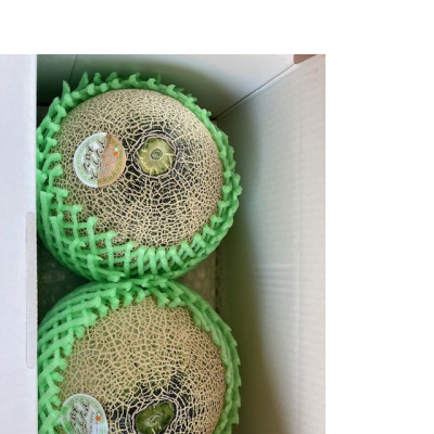 【先行受付】令和8年4月順次発送 茨城県鉾田市 山一ファーム アンデスメロン 大玉 4L～5L・2玉【配送不可地域：離島・沖縄県】