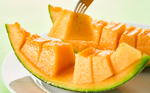 【先行受付】令和8年4月順次発送 茨城県鉾田市 山一ファーム クインシーメロン 大玉4L～5L・1玉【配送不可地域：離島・沖縄県】