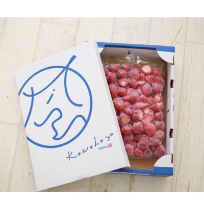 風早いちご園 とちおとめ 冷凍いちご1kg 真空冷凍 長期保存【配送不可地域：離島・沖縄県】