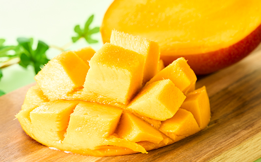 茨城県産 なめがたプリンセスマンゴー4L【500g以上】1個【配送不可地域：離島・沖縄県】