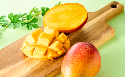 茨城県産 なめがたプリンセスマンゴー3L【450g以上】2個【配送不可地域：離島・沖縄県】