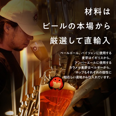 常陸野ネストビールだいだいエール入り飲み比べ8本セット【配送不可地域：離島・沖縄県】