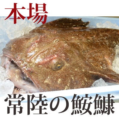 【12月発送】常陸名物　あんこう鍋セット(3～4人前)【配送不可地域：離島・沖縄県】