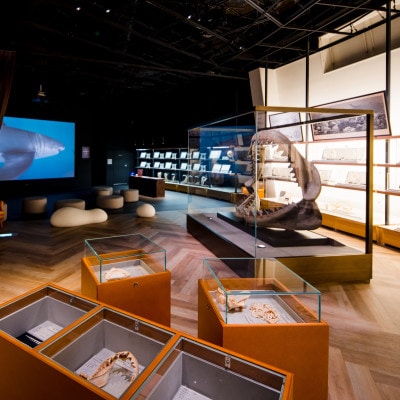 アクアワールド茨城県大洗水族館　年間パスポート(大人1名分)【配送不可地域：離島・沖縄県】