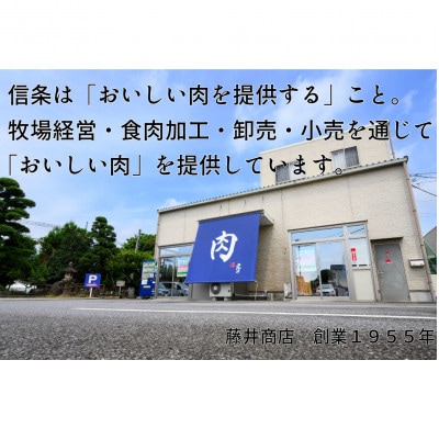 【常陸牛】A5等級 サーロインブロック 10kg【配送不可地域：離島・沖縄県】