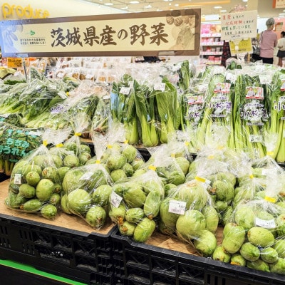 【加工用】茨城県鉾田市産 摘果メロン(子メロン)約5kg【配送不可地域：離島・沖縄県】