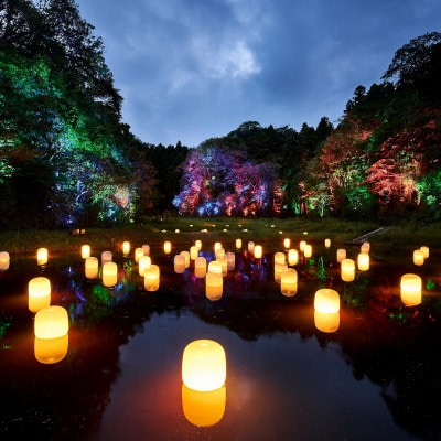 「チームラボ 幽谷隠田跡」鑑賞・温泉付きセット券【大人(高校生以上)1名分】【配送不可地域：離島・沖縄県】