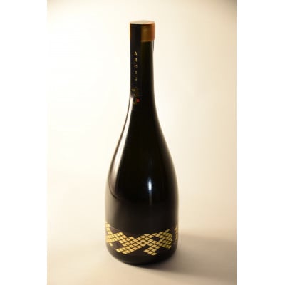 真上 AEGIS【配送不可地域：離島・沖縄県】