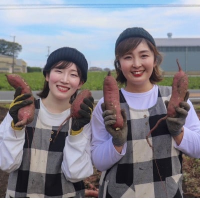 【先行受付・11月下旬～発送】(訳あり)茨城県産 熟成貯蔵 さつまいも 紅はるか 土付5kg(箱込)【配送不可地域：離島・沖縄県】