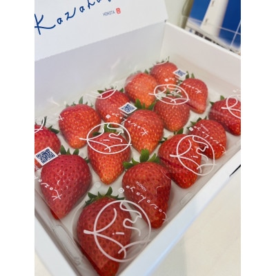 【2026年1月より順次発送予定】風早いちご園 とちおとめ エクセレント 1箱(12粒or15粒)【配送不可地域：離島・北海道・沖縄県】