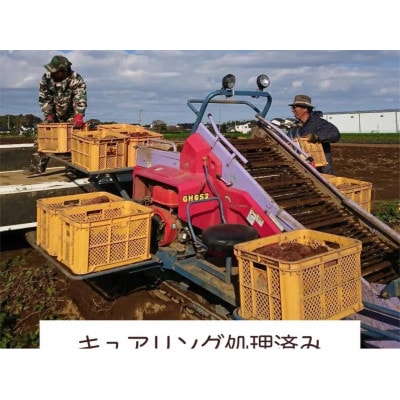 【12月順次発送予定】山一ファーム 熟成さつまいも5kg 食べ比べセットA 紅はるかとシルクスイート【配送不可地域：離島・沖縄県】