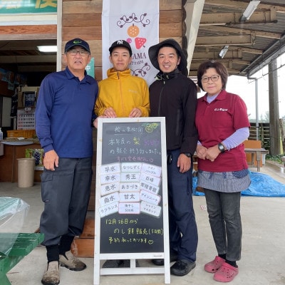 【先行受付】2026年9月順次発送 桧山果樹園 茨城県 ブランド梨 恵水3kg【配送不可地域：離島・沖縄県】