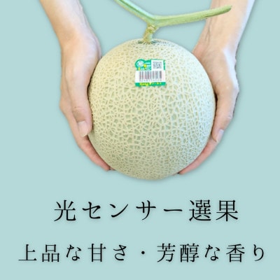 糖度13度以上!茨城県産 アールスメロン 2玉入り【先行受付　2026年9月上旬以降順次発送】【配送不可地域：離島・北海道・沖縄県・中国・四国・九州】