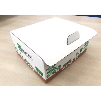 驚きの甘さ!冷凍焼き芋【3本入り×4袋】茨城県産さつまいも使用【配送不可地域：離島・沖縄県】