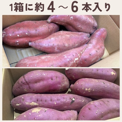 茨城県産 紅まさり・大(1箱約4～6本入り×2箱セット)1本800g以上!【配送不可地域：離島・沖縄県】