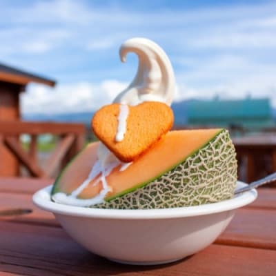 【令和5年 品質優良賞受賞】茨城県旭村産クインシーメロン(赤肉) 特秀2玉【配送不可地域：離島・沖縄県】