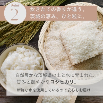 【茨城県産】2025年新米 茨城県産 コシヒカリ米(精米)5kg【配送不可地域：離島・沖縄県】