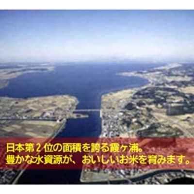 筑波山麓産米を中心に厳選した【茨城県産こしひかり】白米5kg 令和7年産【配送不可地域：離島・沖縄県】