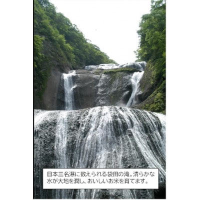 筑波山麓産米を中心に厳選した【茨城県産こしひかり】白米10kg 令和7年産【配送不可地域：離島・沖縄県】