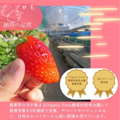 【茨城県産】菅谷いちご園の完熟いちご　3Lサイズ 11粒×2パック【配送不可地域：離島・北海道・沖縄県・中国・四国・九州】