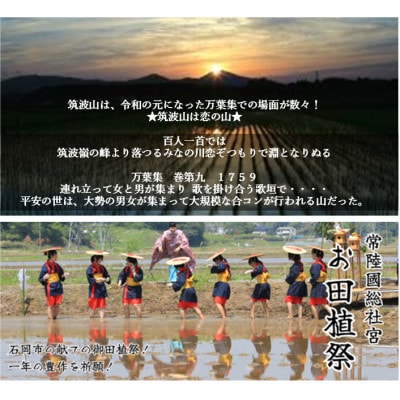 【玄米30kg⇒七分搗き米】筑波山麓厳選★検査1等米こしひかり【恋瀬姫の舞】令和7年産【配送不可地域：離島・沖縄県】