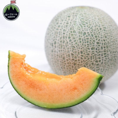 【発送月固定定期便】4・5月発送 山一ファーム 鉾田市 メロン食べ比べ(アンデスとクインシー)全2回【配送不可地域：離島・沖縄県】