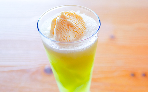 ベルファームの冷凍メロンジュース 茨城県産メロン100% 100g×15袋 【離島・沖縄配送不可】【配送不可地域：離島・沖縄県】