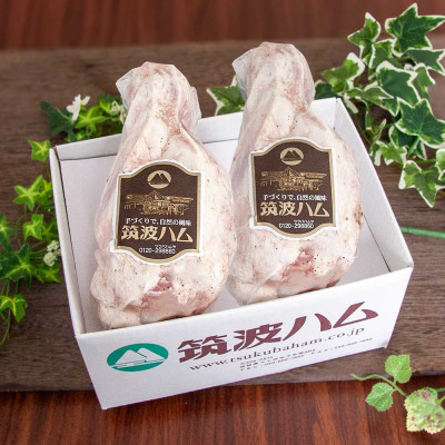 筑波ハム アイスバイン 2個合計1400g 豚すね肉【配送不可地域：離島・沖縄県】