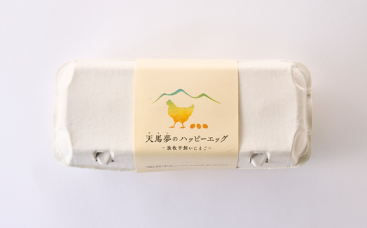 天馬夢のハッピーエッグ　10個【配送不可地域：離島・沖縄県】