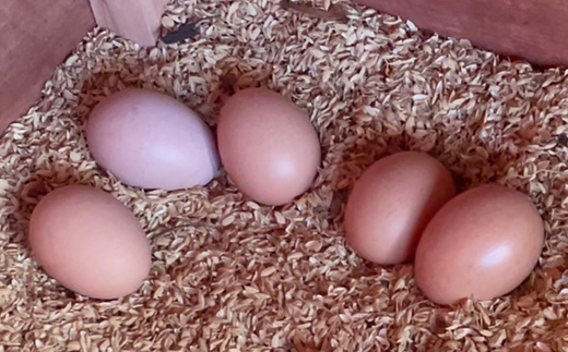 天馬夢のハッピーエッグ 20個【配送不可地域：離島・沖縄県】