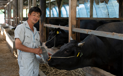 令和7年産 茨城県産 常陸牛農家が育てたコシヒカリ 精米 無洗米 個包装300g(2合)×3袋【配送不可地域：離島・沖縄県】