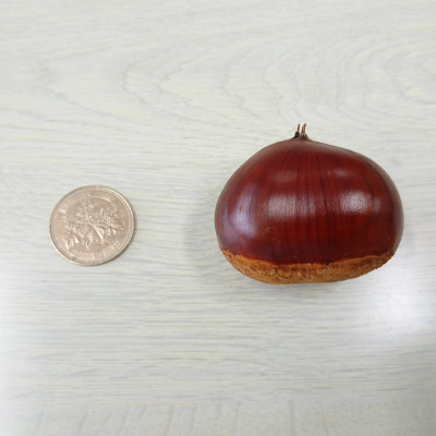 万羊羹飯沼MEIMEI 1箱(45g×3個入り)【配送不可地域：離島・沖縄県】