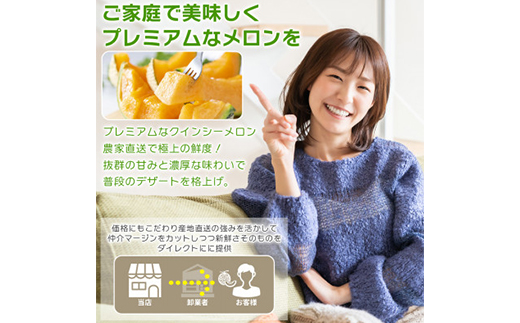 【内山農園】いばらきメロンコンテスト2025クインシーメロン(2玉3kg)2026年5月より発送開始【配送不可地域：離島・沖縄県】