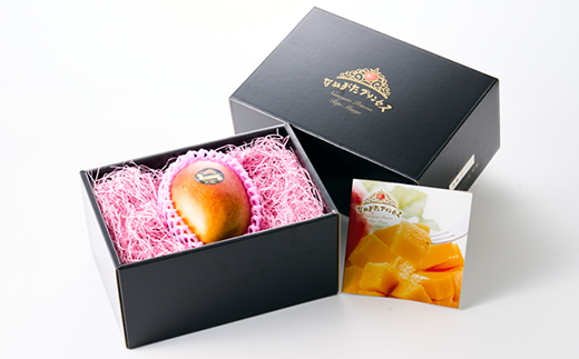 茨城県産 なめがたプリンセスマンゴー3L【450g以上】1個【配送不可地域：離島・沖縄県】