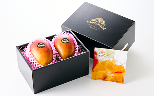 茨城県産 なめがたプリンセスマンゴー3L【450g以上】2個【配送不可地域：離島・沖縄県】