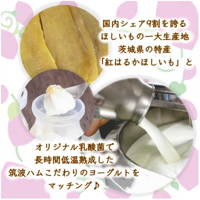 まるでほしいも計12個 (ほしいもクン特製化粧箱入り3個×4箱)【配送不可地域：離島・沖縄県】