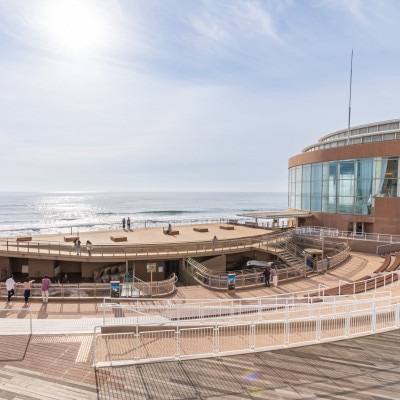 アクアワールド茨城県大洗水族館　年間パスポート(大人1名・幼児1名分)【配送不可地域：離島・沖縄県】