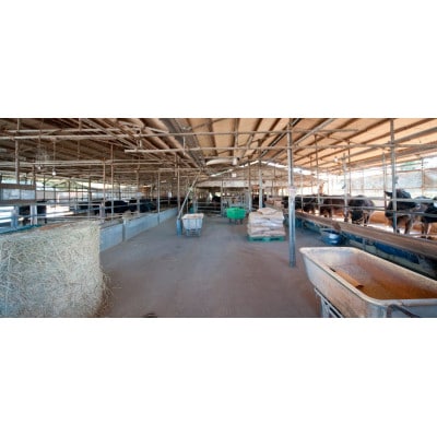 常陸牛 A5等級 サーロインブロック 約3kg【配送不可地域：離島・沖縄県】