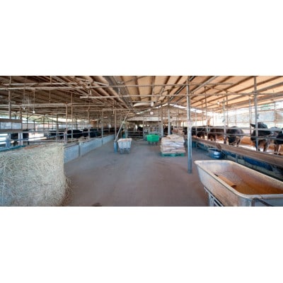 常陸牛 A5等級 サーロインブロック 約4kg【配送不可地域：離島・沖縄県】