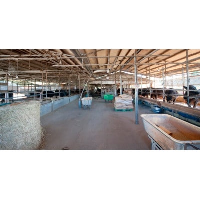 常陸牛 A5等級 サーロインブロック 約5kg【配送不可地域：離島・沖縄県】