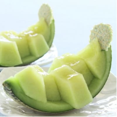 【令和5年品質優良賞受賞】茨城県産 アールスメロン【特秀】2玉【配送不可地域：離島・沖縄県】