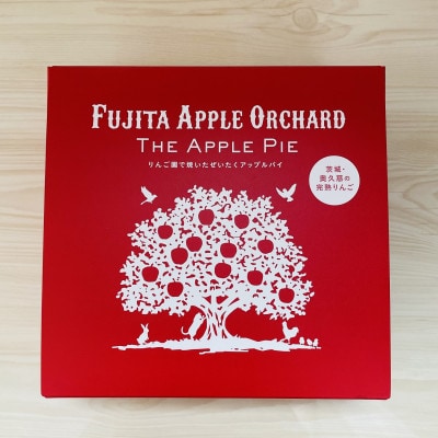 りんご園で焼いた ぜいたくアップルパイ 1ホール【配送不可地域：離島・沖縄県】